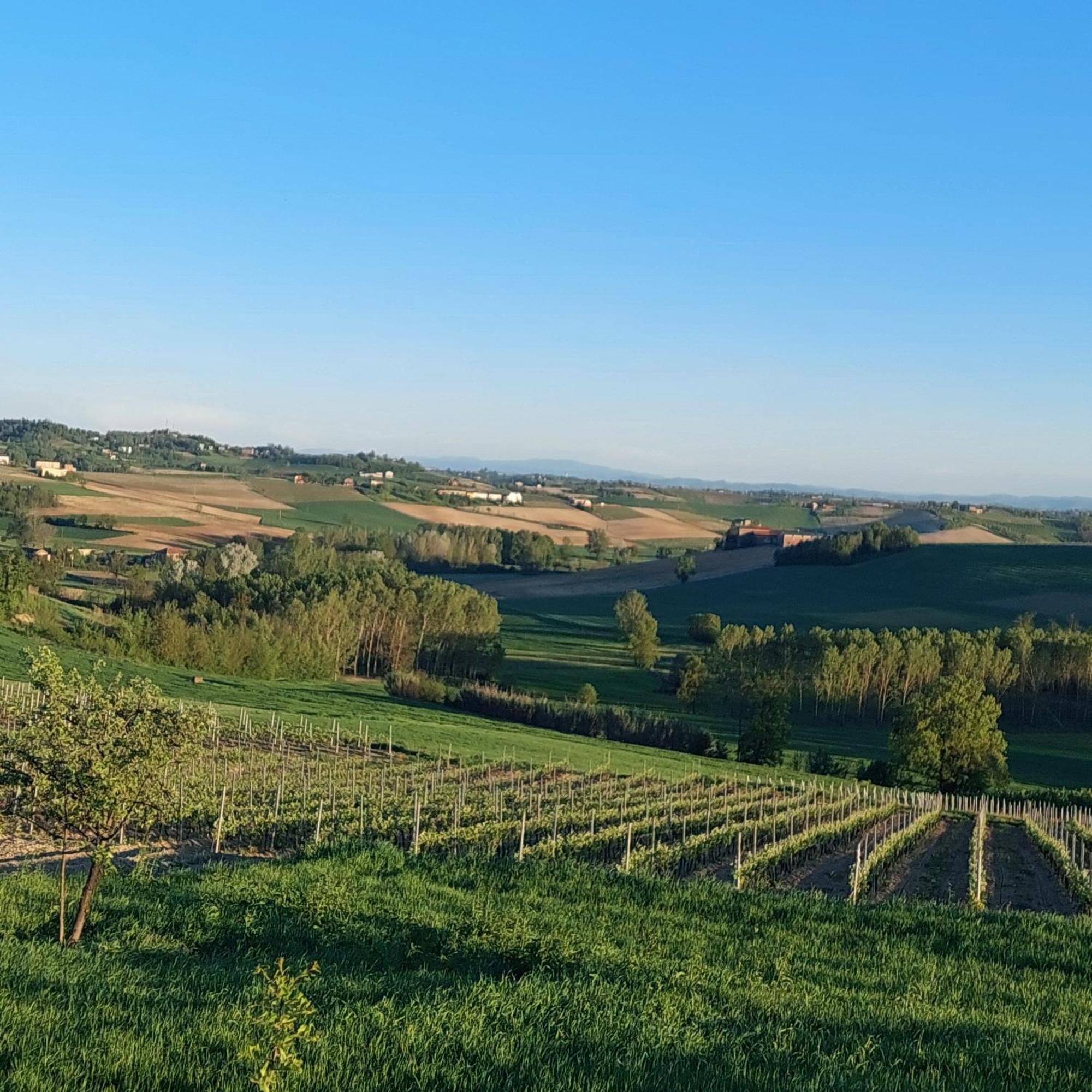 Casa Rovelli Bed & Breakfast Alfiano Natta Екстериор снимка
