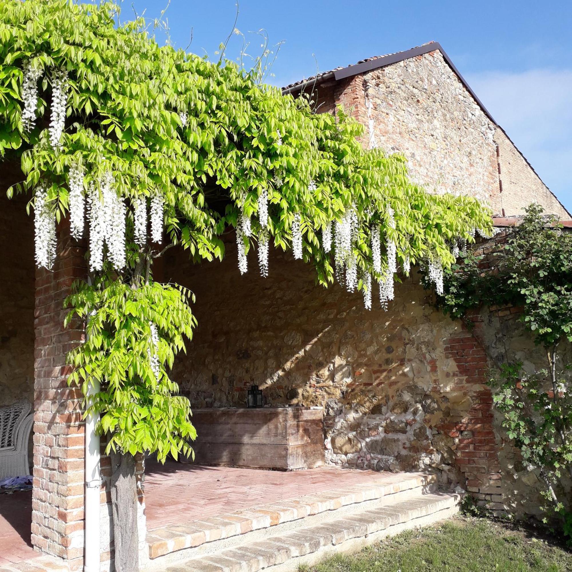 Casa Rovelli Bed & Breakfast Alfiano Natta Екстериор снимка